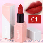 Hot Sales Brand Makeup Lipstick Velvet Matte Nude Lipstick Waterproof Long Lasting Sexy Red Mousse Lip Tint Batom Korea Cosmetic