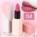 Hot Sales Brand Makeup Lipstick Velvet Matte Nude Lipstick Waterproof Long Lasting Sexy Red Mousse Lip Tint Batom Korea Cosmetic