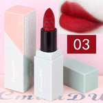 Hot Sales Brand Makeup Lipstick Velvet Matte Nude Lipstick Waterproof Long Lasting Sexy Red Mousse Lip Tint Batom Korea Cosmetic