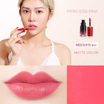 Luxury Matte Lipstick Soft Matte Lip Cream Makeup Lipstick Lip gloss Stain Retro Color Liquid Lipstick